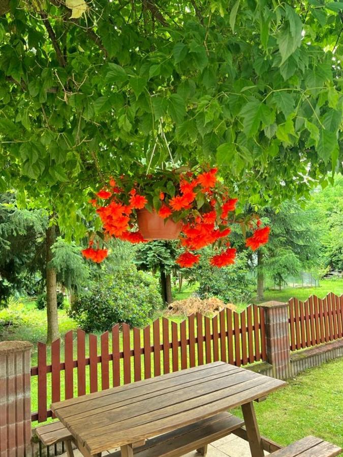 Golebi Puch - Przytulny Apartament Na Wylacznosc Кудова-Здруй Экстерьер фото